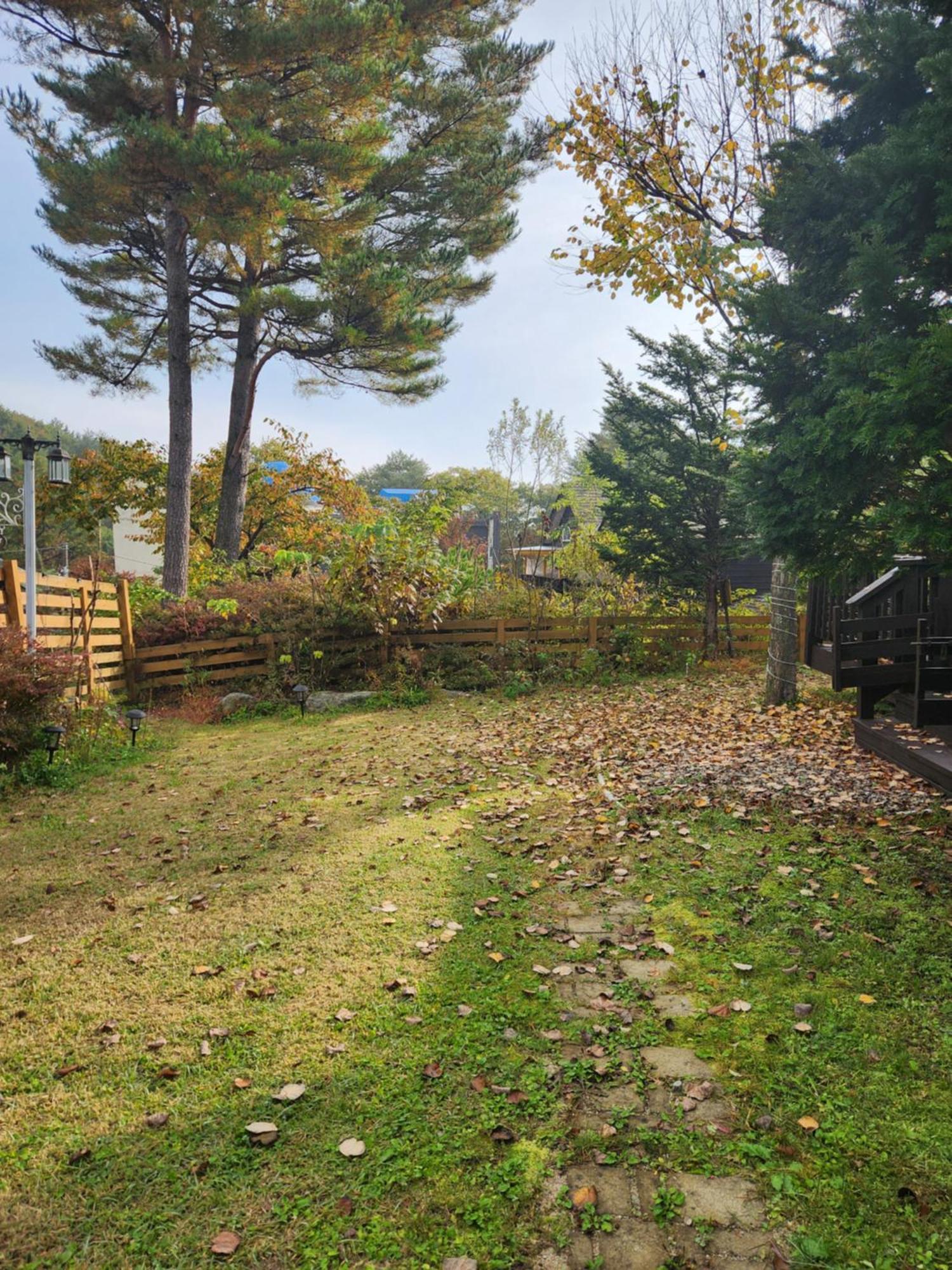 Honey Bear Pension Pyeongchang Exterior photo